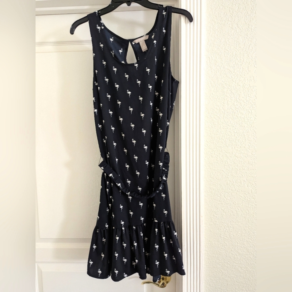 Banana Republic Blue and White Sleeveless Sundress